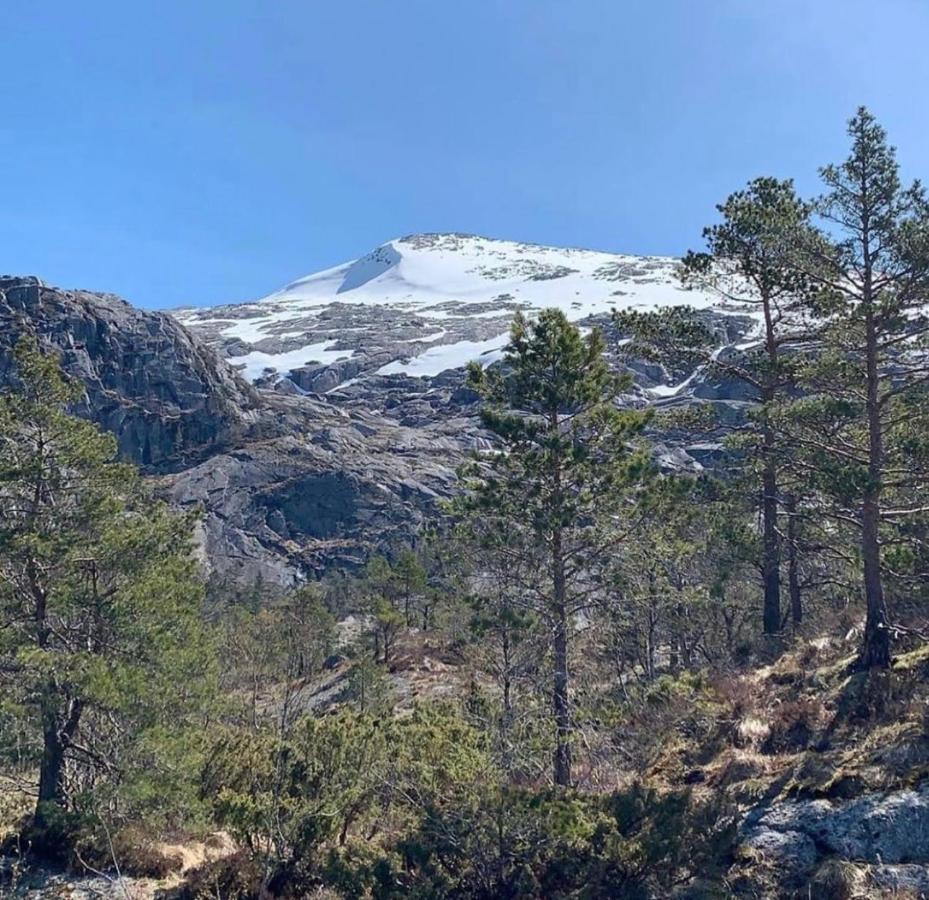 Husnes Sentrum Hotell Bagian luar foto
